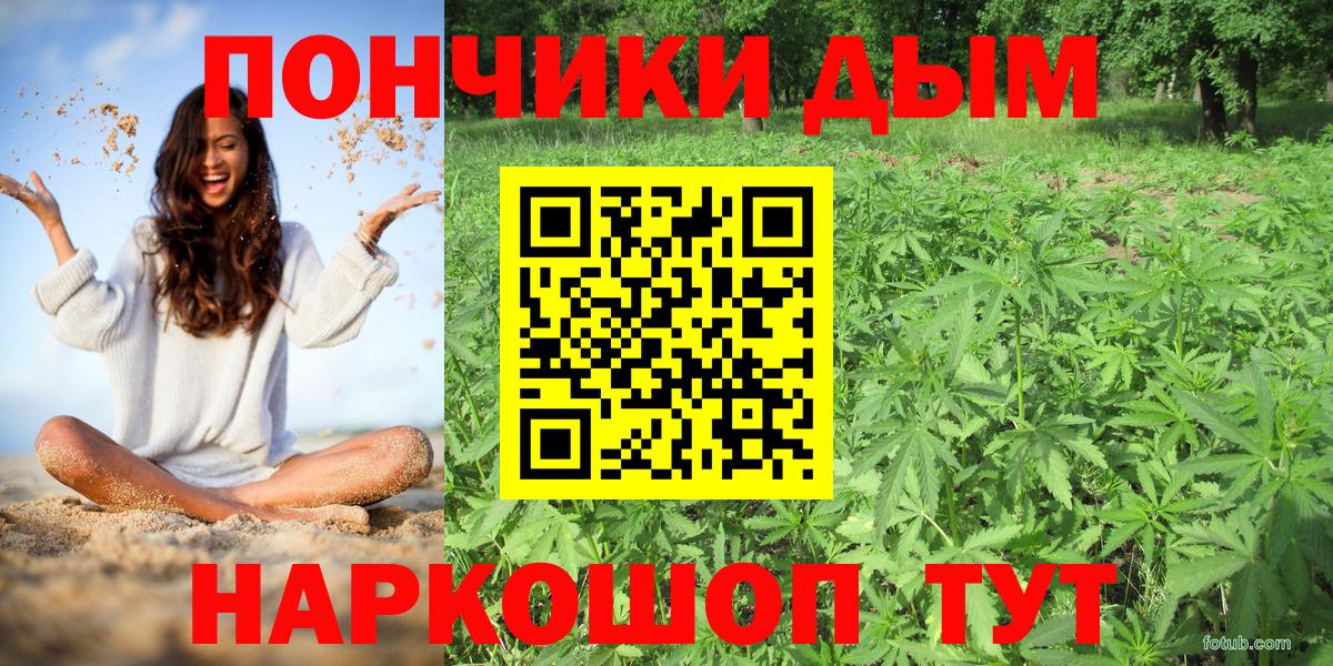 Шишки марихуана марихуана Боровичи